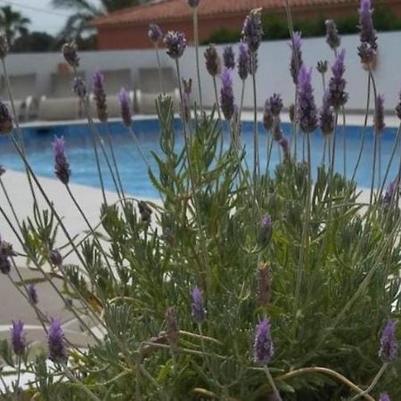 Martí Calpe Exterior foto