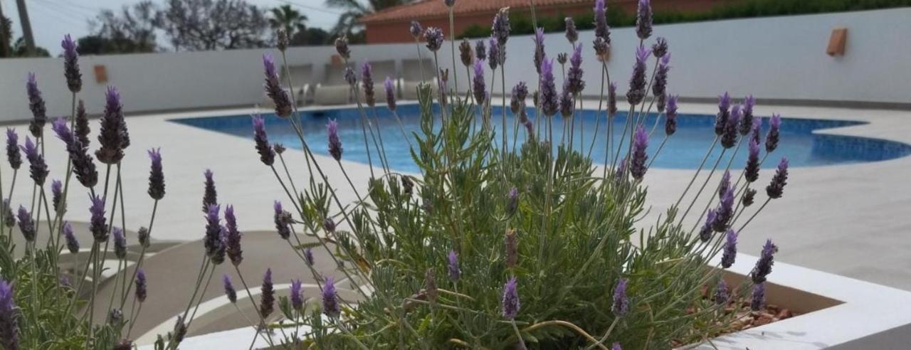 Martí Calpe Exterior foto